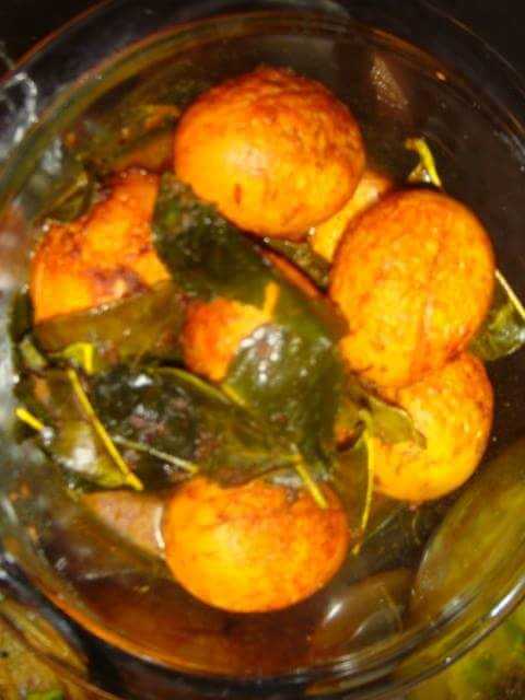 লেবুডিম্ব... 