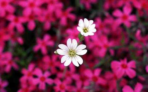 images-6